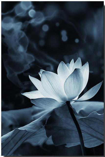 世法哲言(七十四)