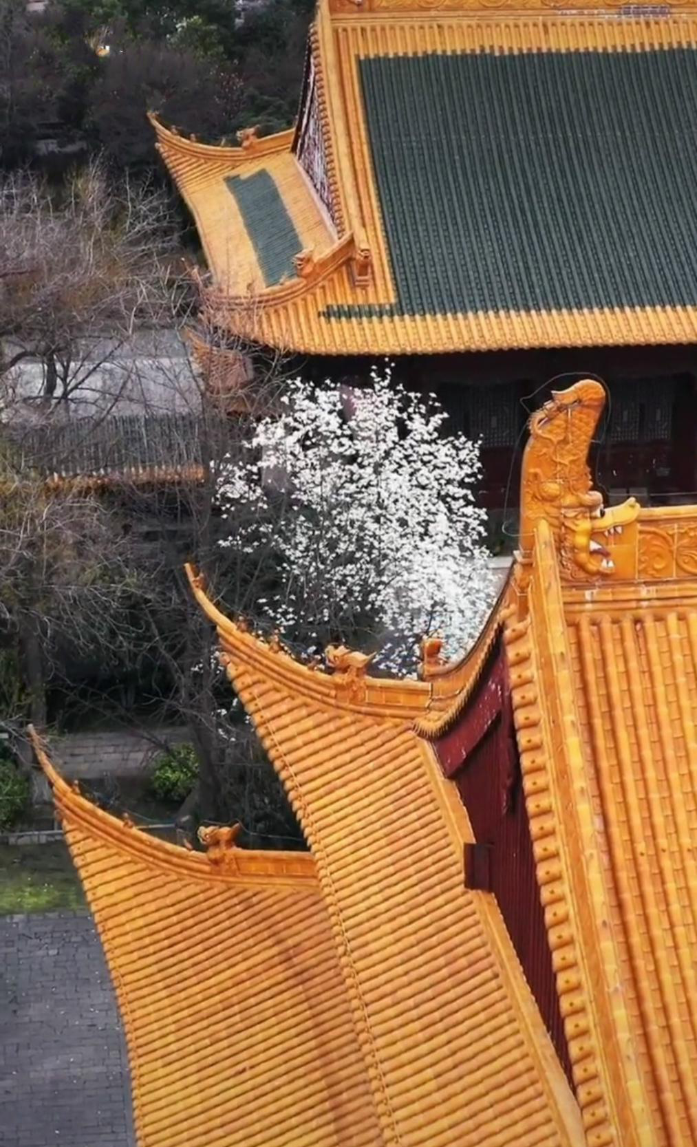世法哲言(六十二)