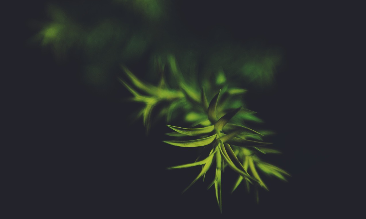 世法哲言(二十二)