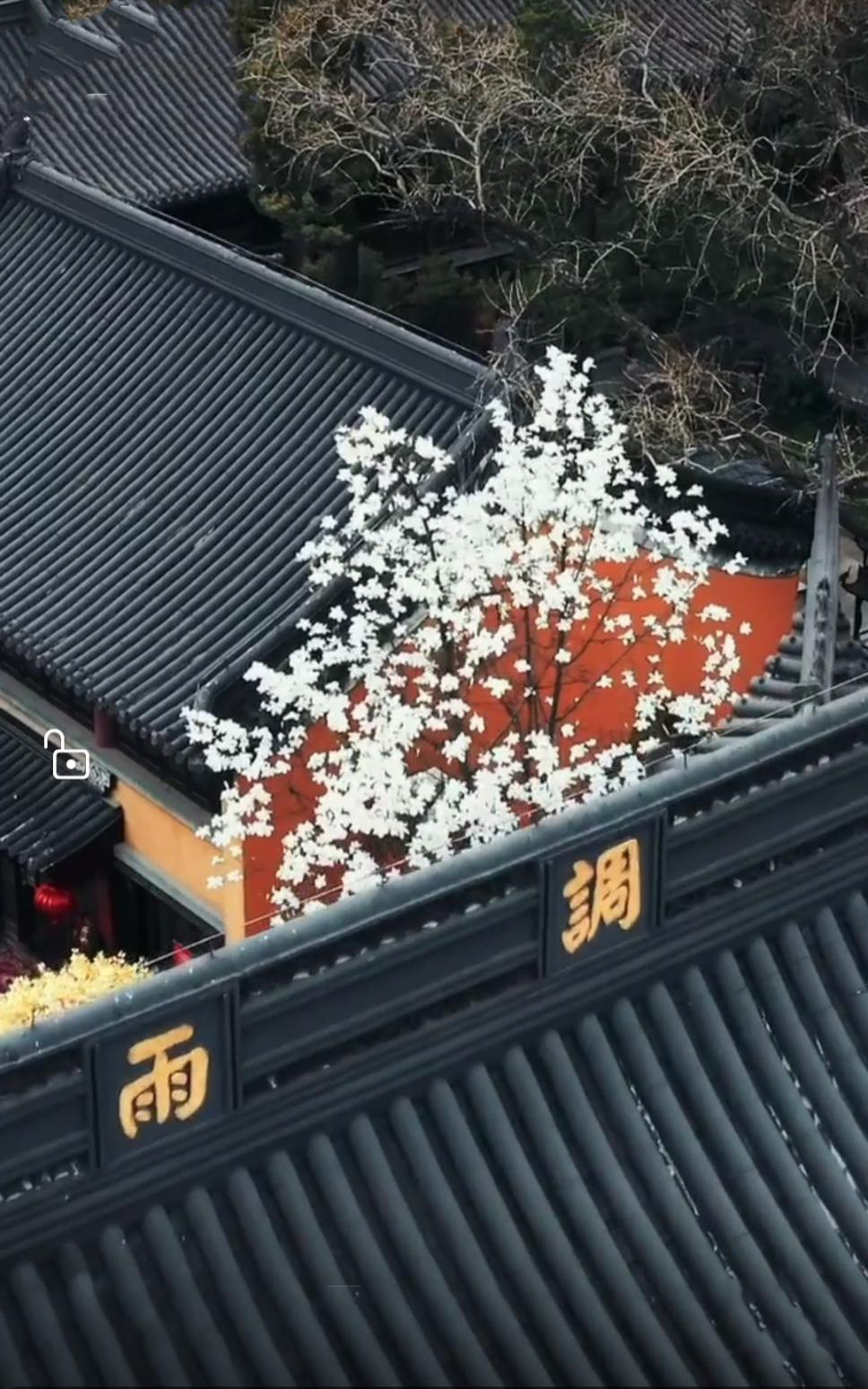 世法哲言(十九)