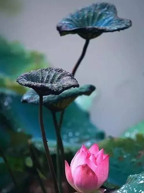 世法哲言(三)